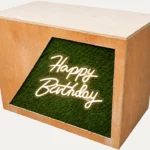 Rustic DJ booth with Happy Birthday neon sign and green foliage front panel